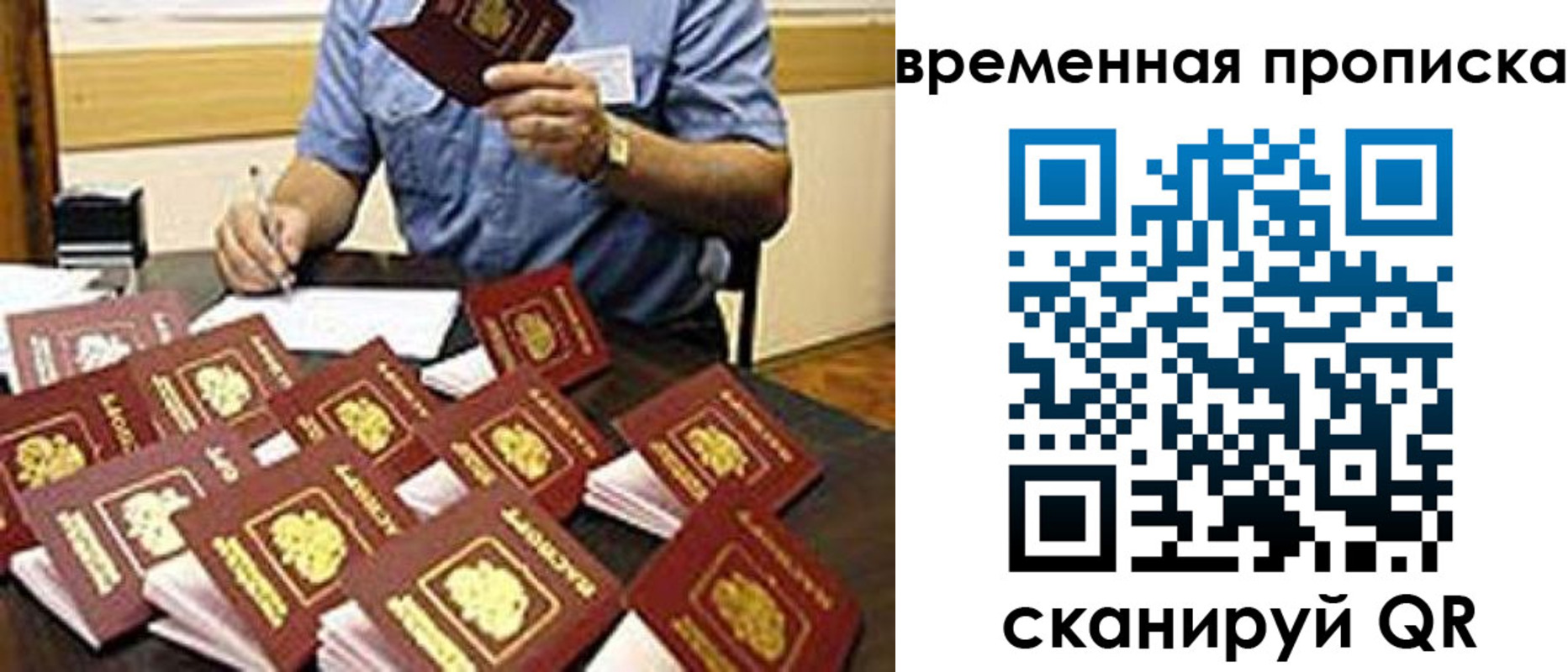 прописка для школы в Сегеже